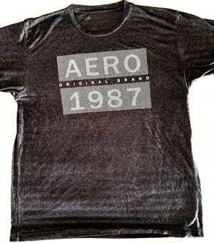 Aeropostale Men's Gray Graphic Print 100% Cotton T-Shirt Aero 1987 Logo Size L